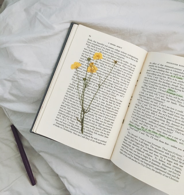 Transformación personal y profesional